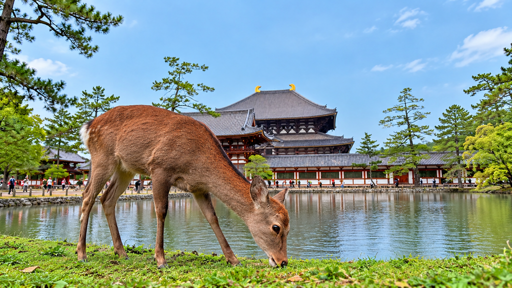 A deer grazing beside a pond in Nara, Japan, with the traditional wooden architecture of Todai-ji Temple and green trees in the background.