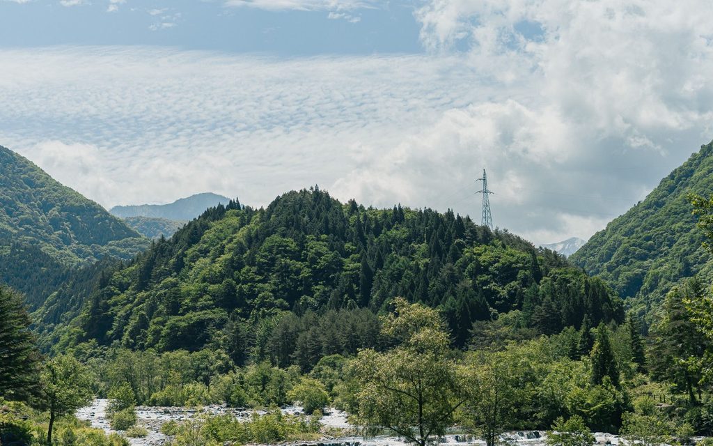 Scenic river flowing through lush green forests and mountains near Shirakawa-go, Japan.